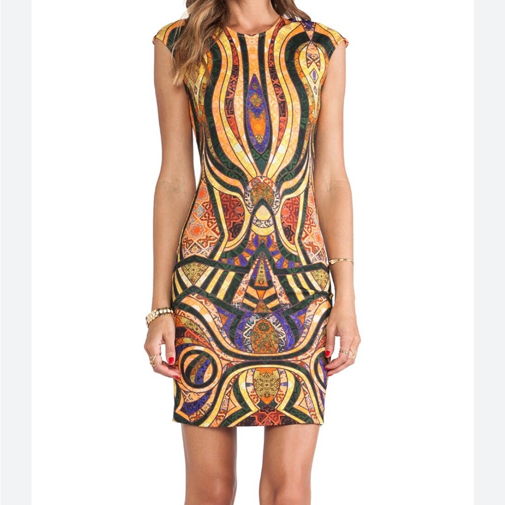 Torn by Ronny Kobo Morgan Dress